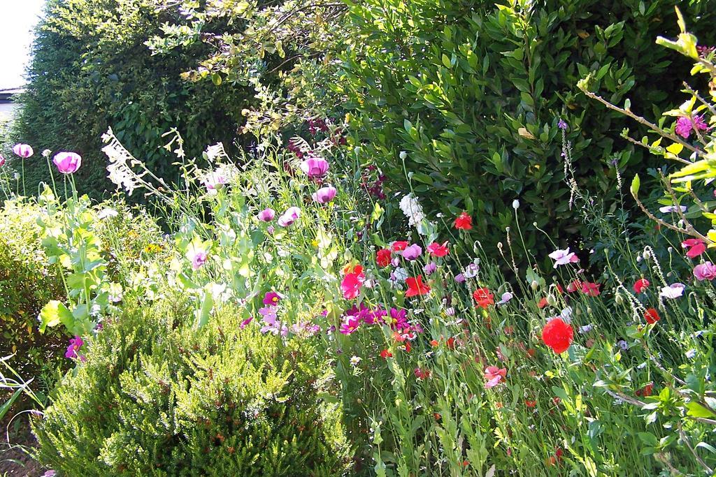 Anchorage Guest House Brixham Esterno foto